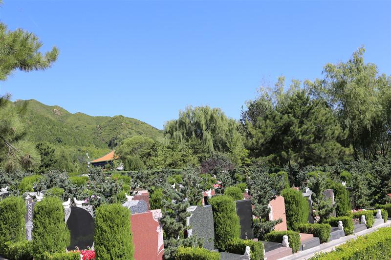�ǻҺв���Ӧ�������ѡ����ѡ�ǻҺ�Ҫע��ʲô��