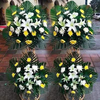 �����汲��ʲô���ȽϺã�����һ�㶼�ü��仨�أ�
