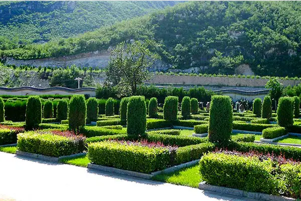 �����Ϸض���ʲô��Ʒ��