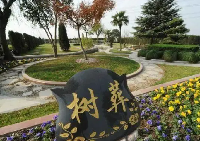 ȫôŶǮ