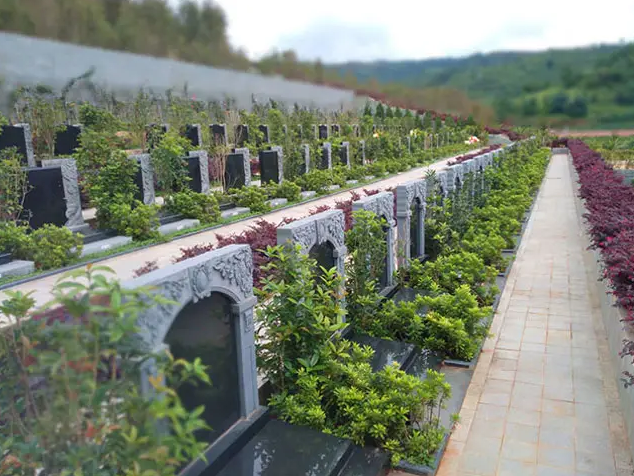 ��������˽���������Ĺ�ص�������ߺ��������̣�