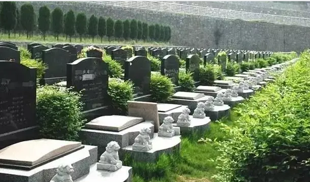 如何了解墓地的安全性和可靠性？